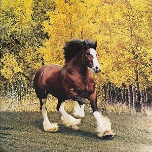 Vintage 1980s Bud Light seasons, best poster series